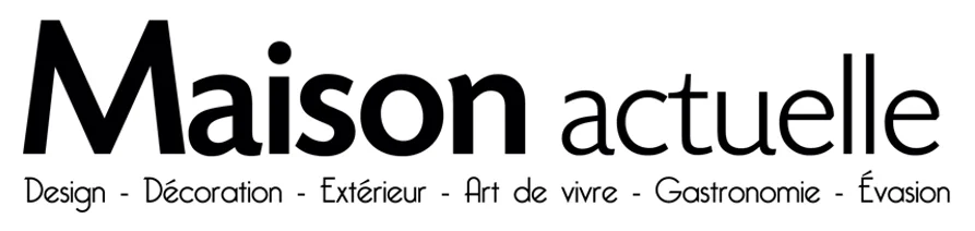 Article-Maison-Actuelle-Maison-Magma