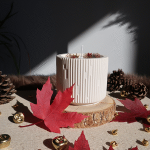 Atelier bougie de Noël aux Nouvelles Galeries Annecy